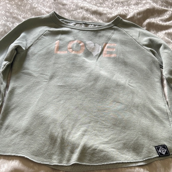 M22 Mint Green Love Michigan Graphic Sweatshirt - Picture 1 of 5